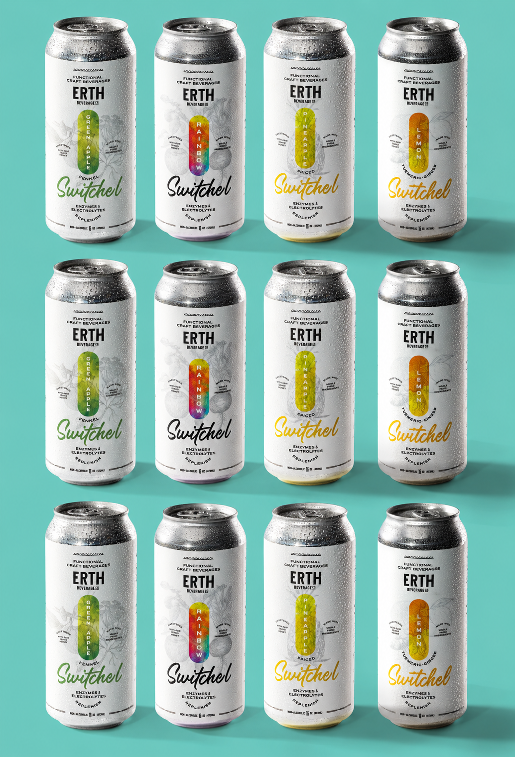 CHOOSE YOUR ADVENTURE - VARIETY SWITCHEL PACK