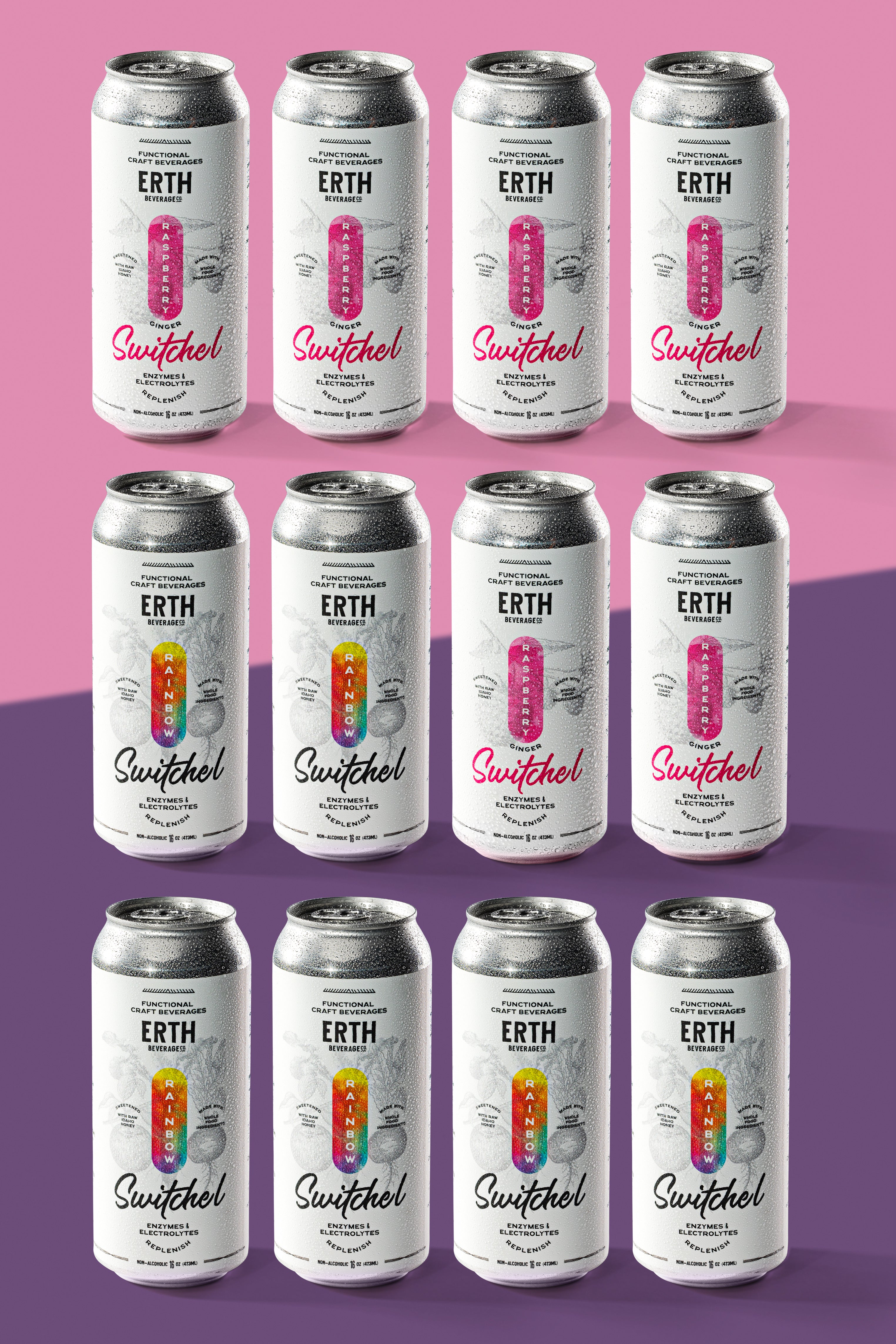 CHOOSE YOUR ADVENTURE - VARIETY SWITCHEL PACK