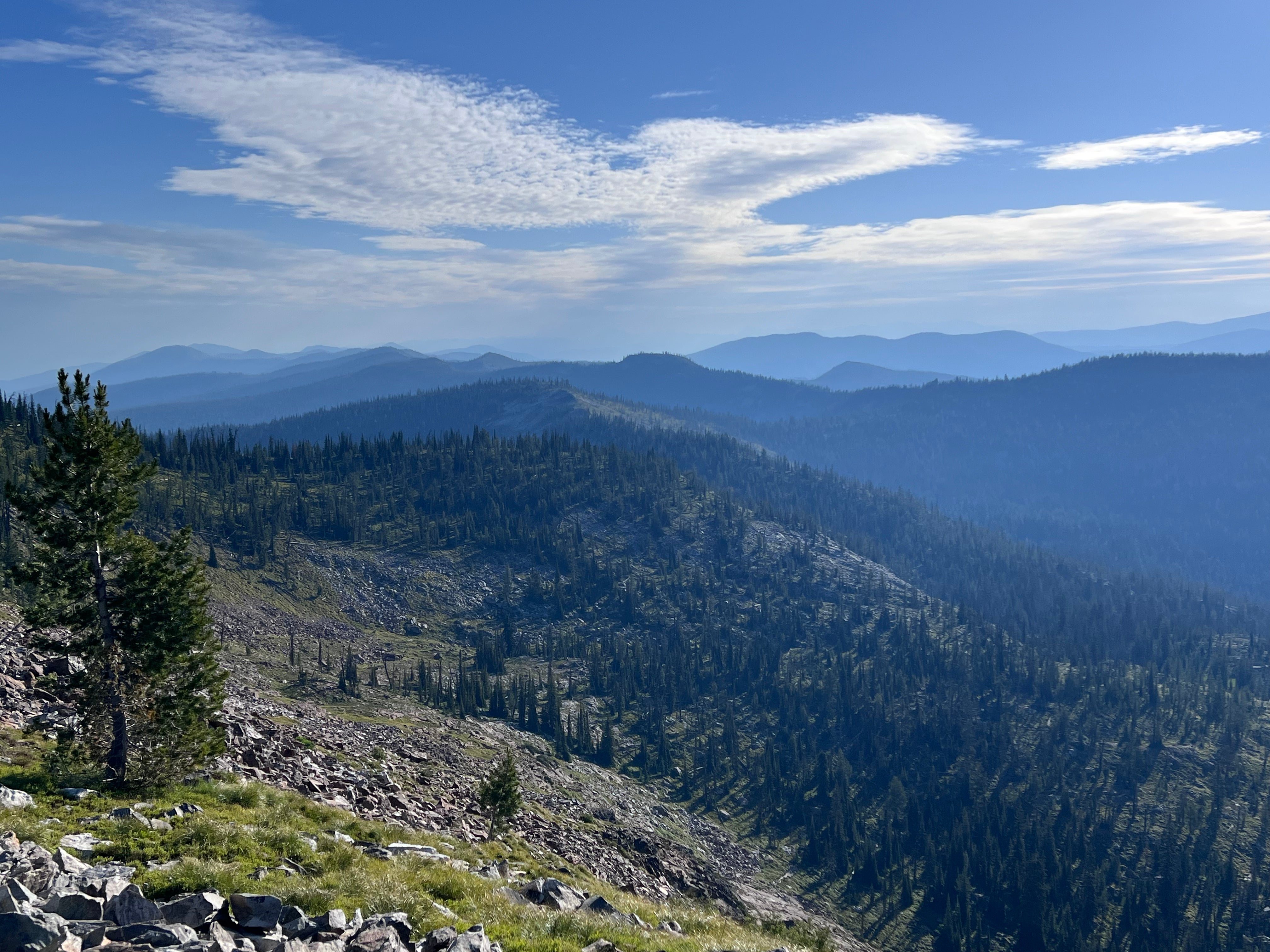 Musing from the trail. -“Take time to look up from your feet, you may never be here again”.