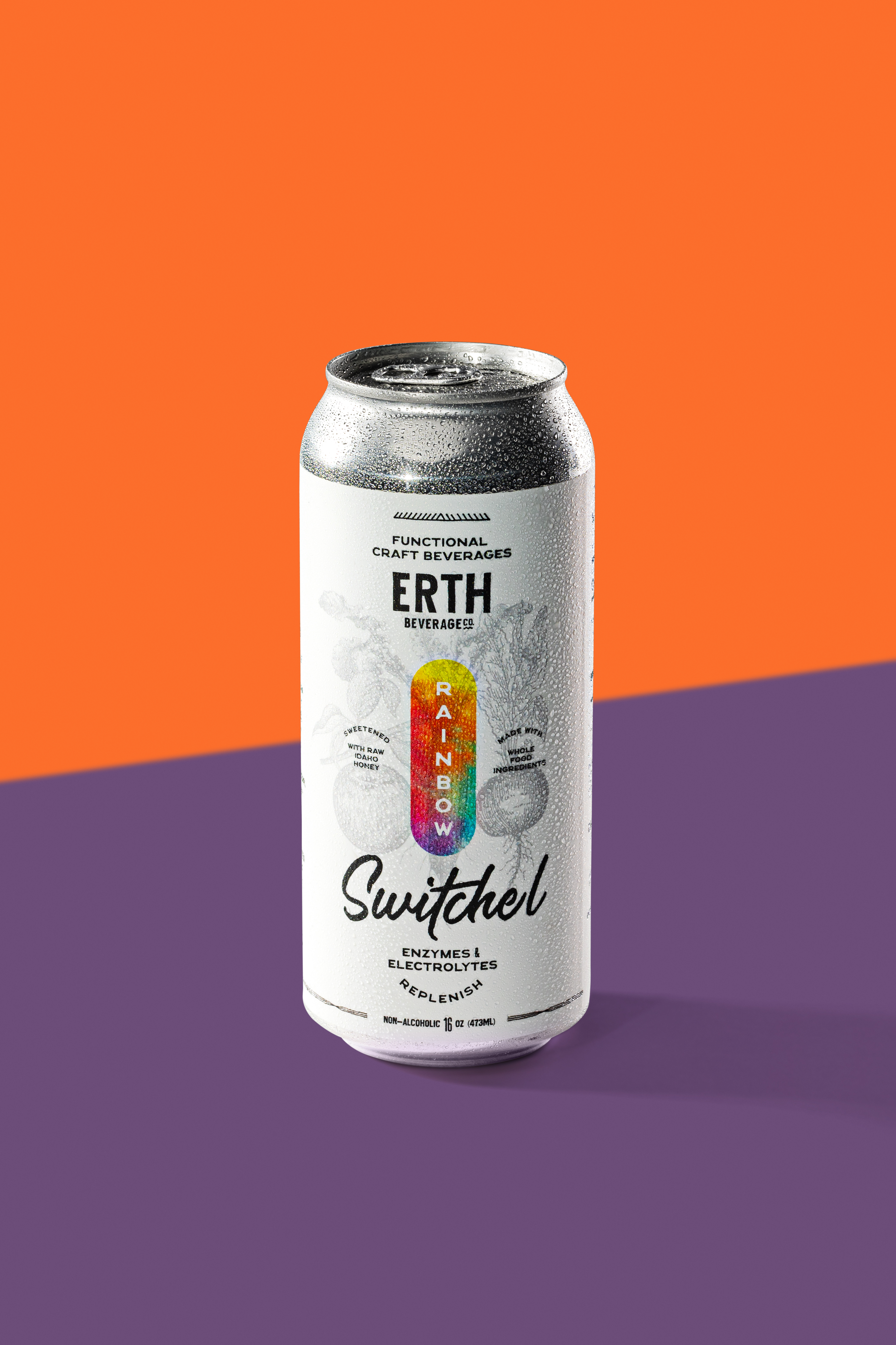 Rainbow Switchel